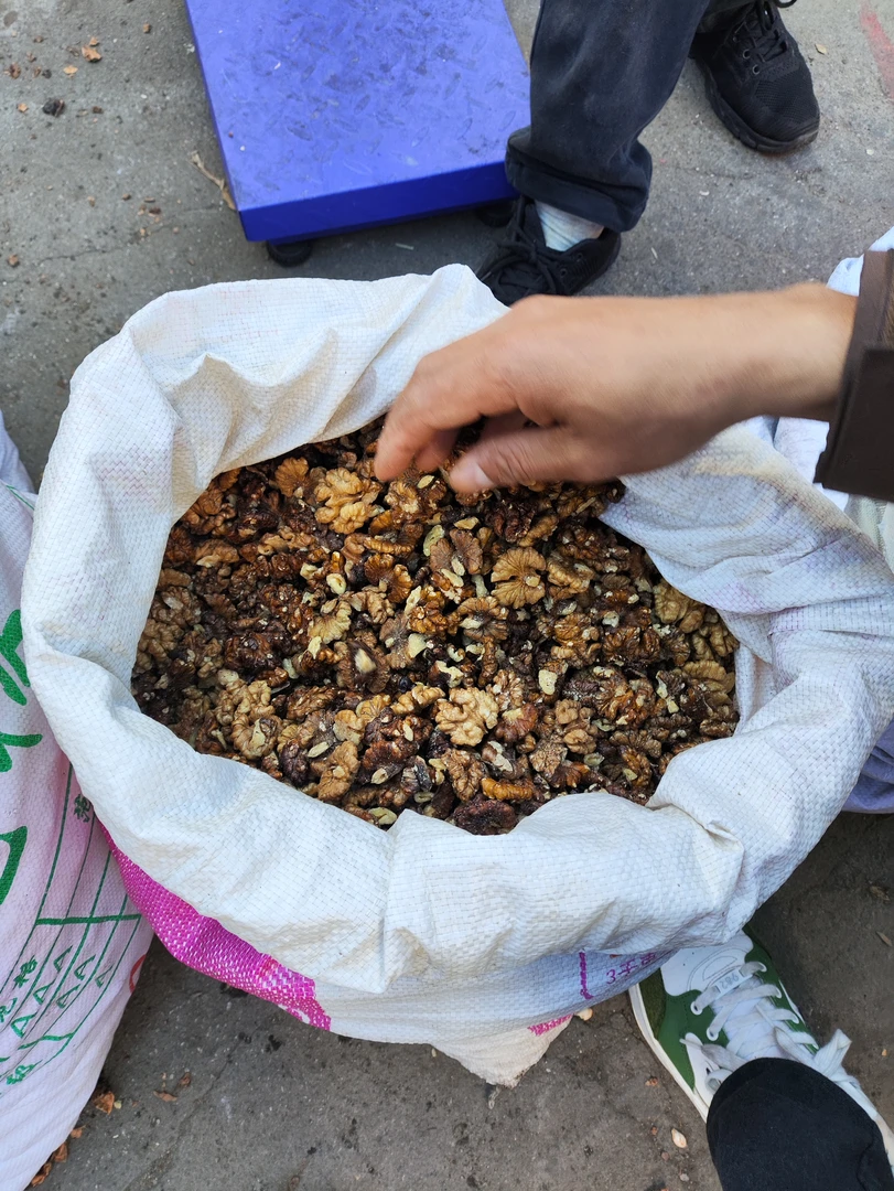 临时链接1集市现收核。桃肉
