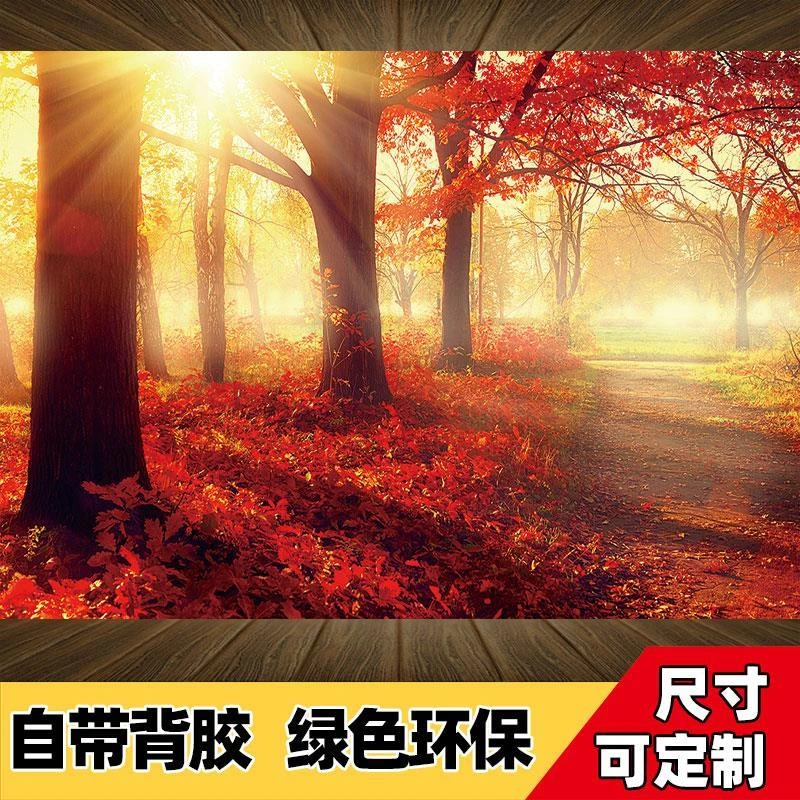 风景画卧室墙壁画树林装饰画纸墙贴纸自粘墙面NEW款贴画装饰墙面