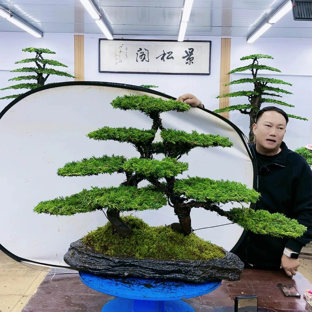 盆景欢迎大家一起来捡漏