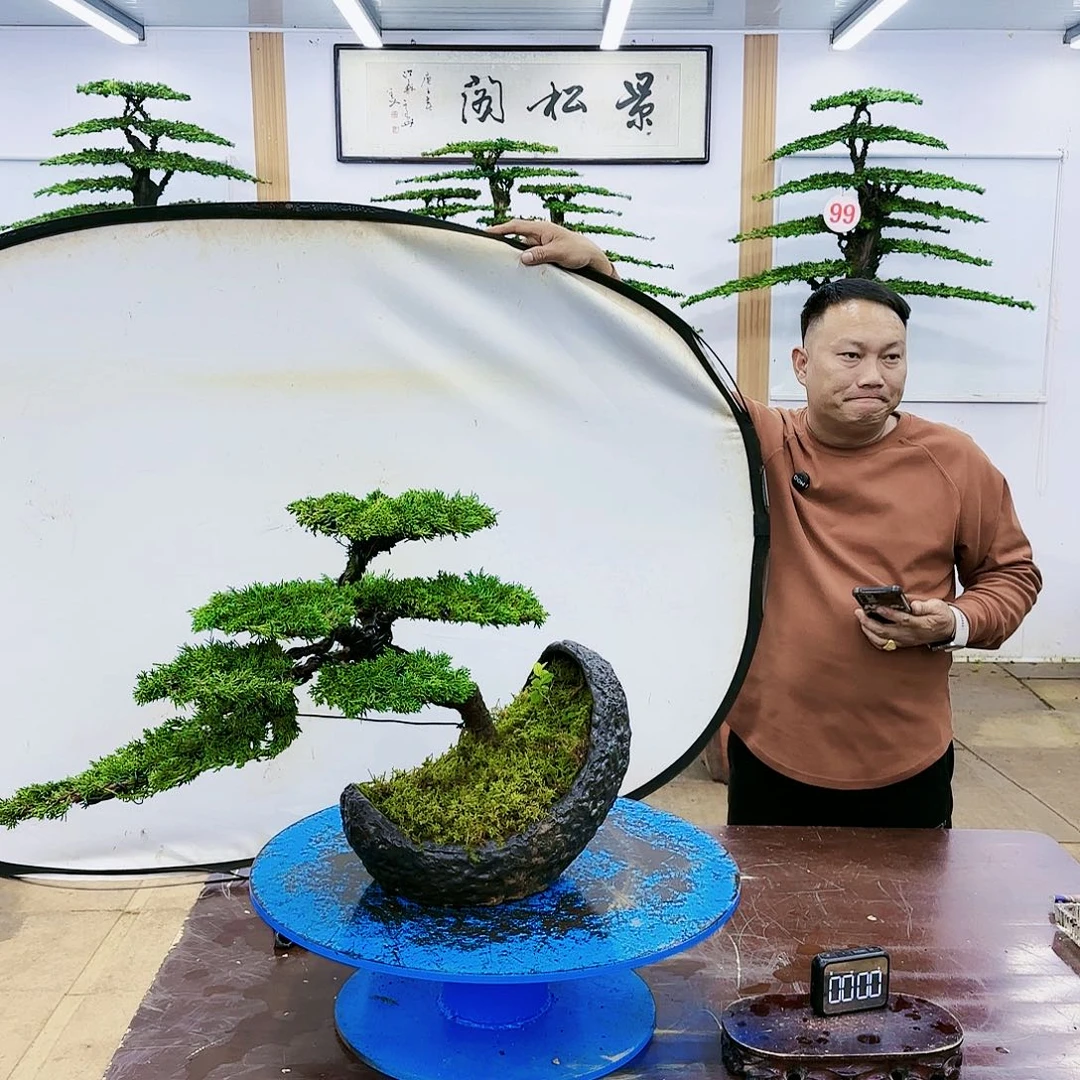 盆景欢迎大家一起来捡漏