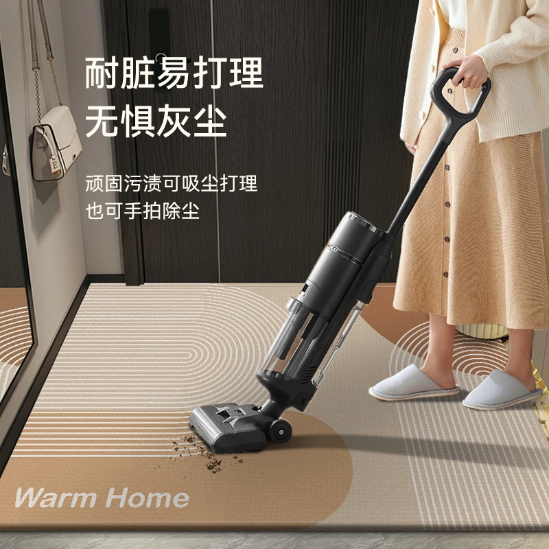 入户门垫防水防滑2025新款简约家用地垫免洗玄关入户门地垫