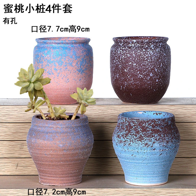 【直播专享】多肉花盆A1蜜桃小桩4件套