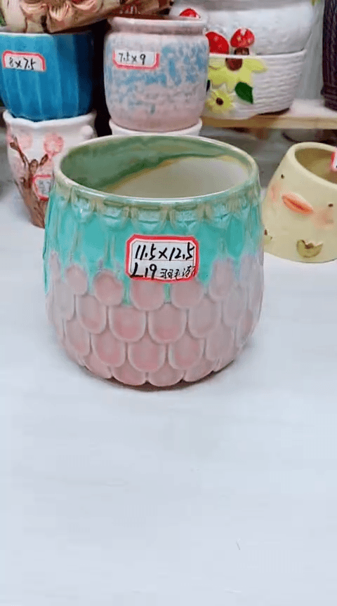 【闪购商品】陶瓷20CM以下@@L19羽毛渐变1个