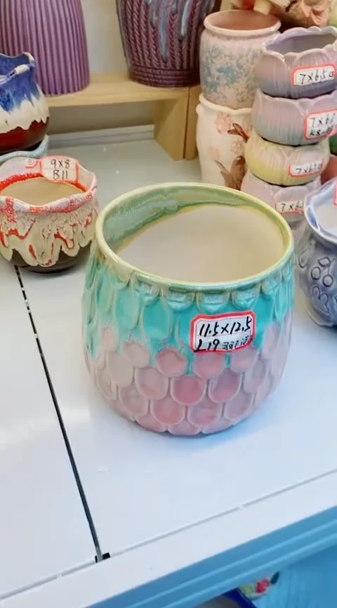 【闪购商品】陶瓷@@L19羽毛渐变1个