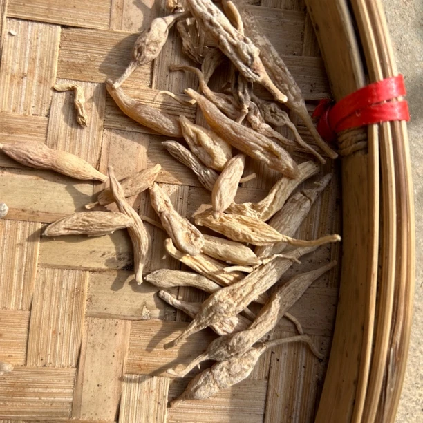 农特产  麦/冬  现收农产品