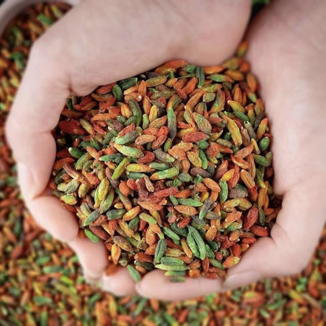 农特产   七彩枸杞【云南山货】500g