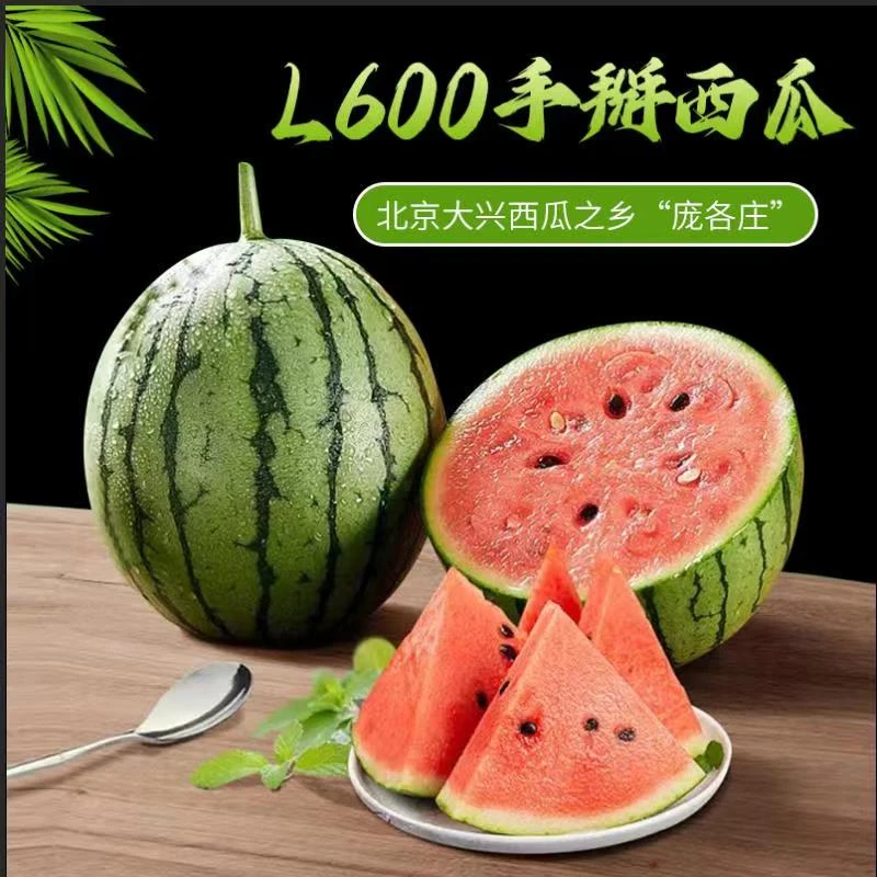 正宗庞各庄L600西瓜3 一4粒14至14.5斤 京津冀 快递包邮