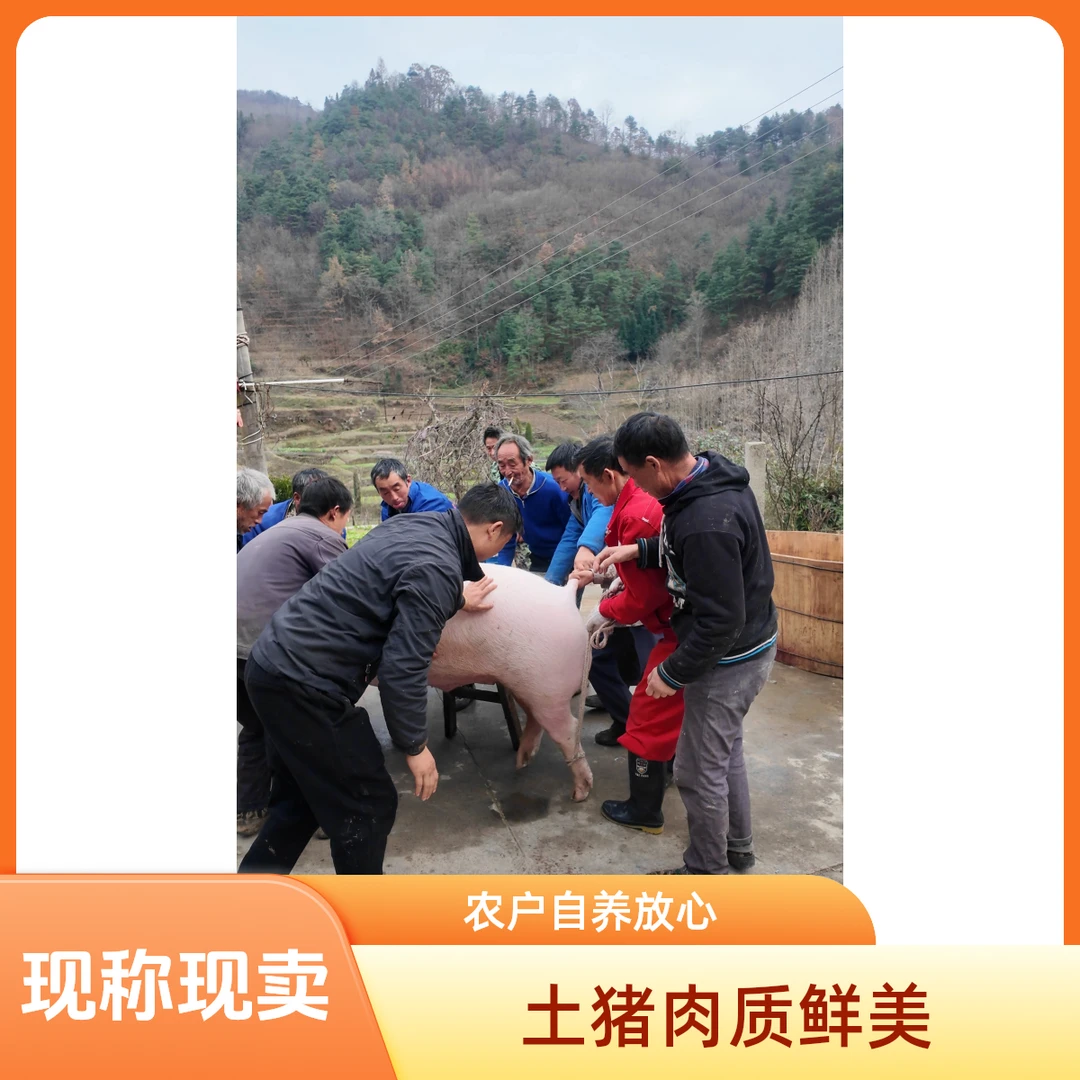 陕南土猪肉(现称现卖)【农村土猪肉】