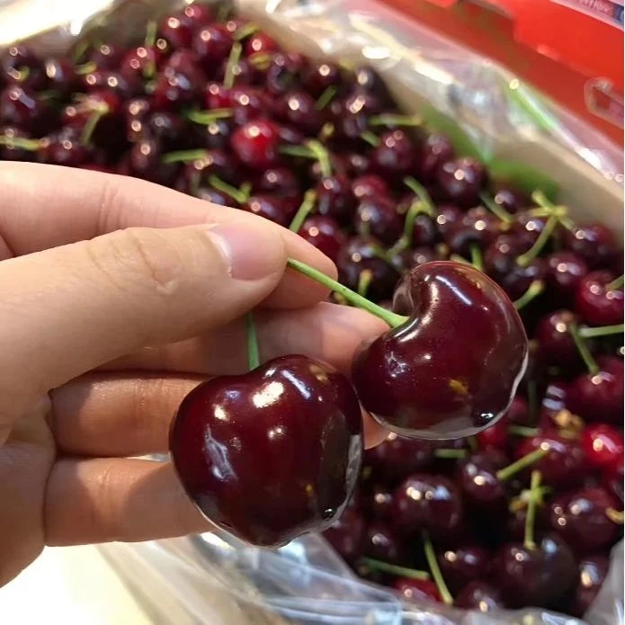 【顺丰京东次日达】智利进口拉宾斯新鲜车厘子J红车新鲜水果 现货直发 1斤（净果0.8斤）