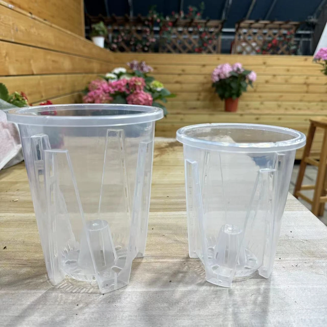 【小陈】蝴蝶兰养殖盆