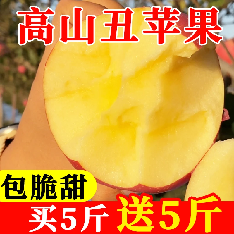 【立减30】富士高原丑苹果【买5斤送5斤】多汁甜脆红富士新鲜水果