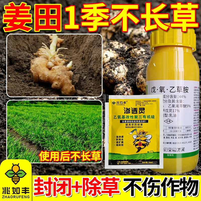 兆如丰大蒜生姜田专用苗前封闭除草剂禾阔双除一季无草播后苗前用