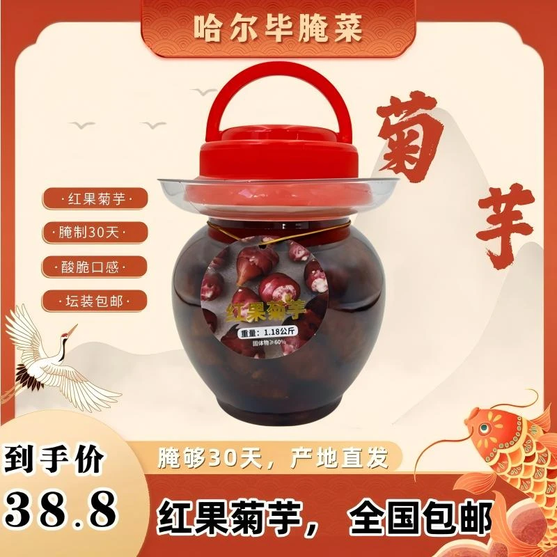 凯比新疆哈尔毕腌菜！红果菊芋1180g瓶装爽脆下饭菜传统制作营养