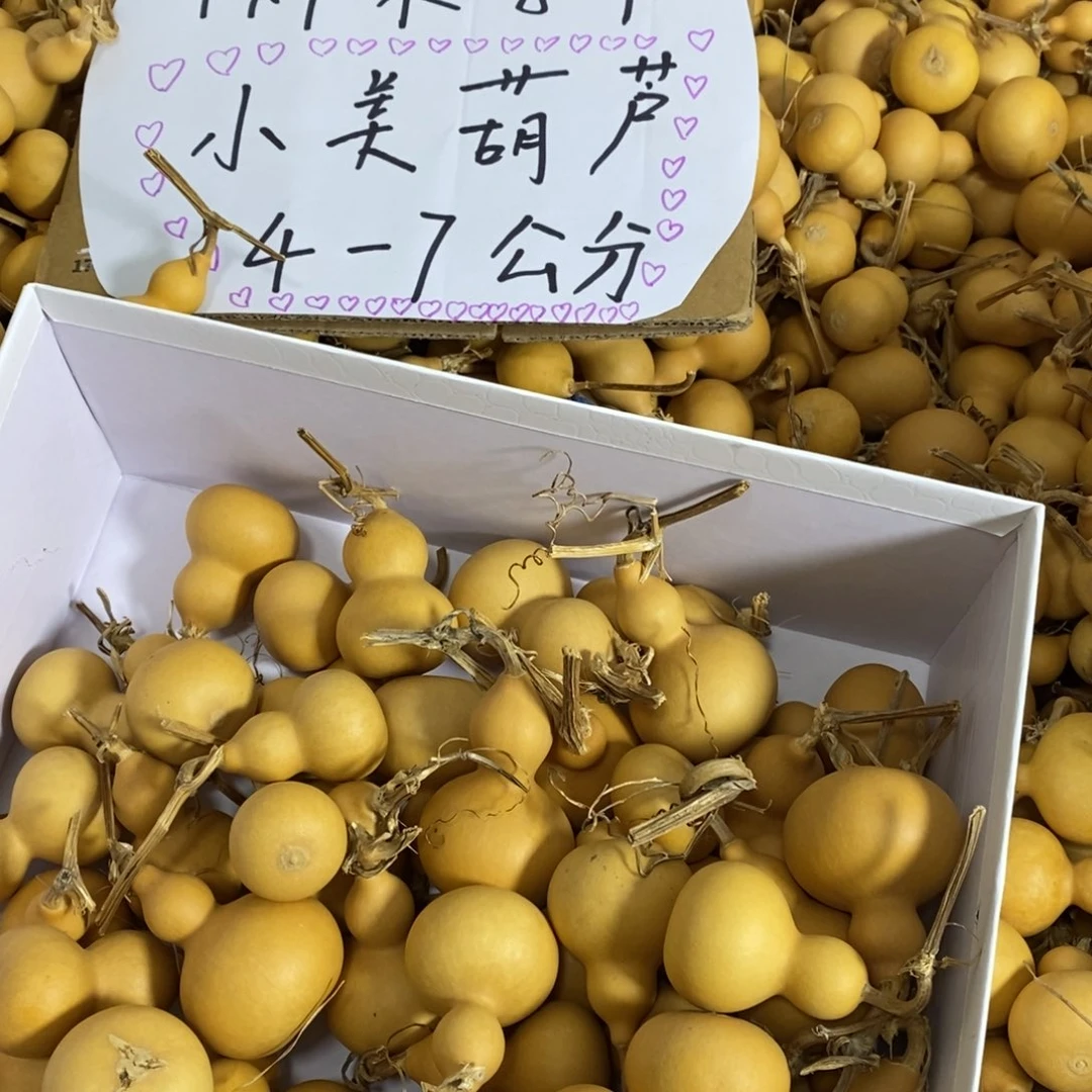 吉****人葫芦葫芦葫芦葫芦葫芦