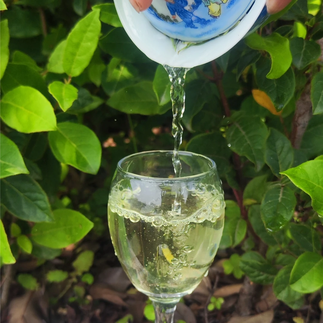 自家茶园福鼎白茶2023年明前兰花香白牡丹泉水甜汤感绵柔散装白茶