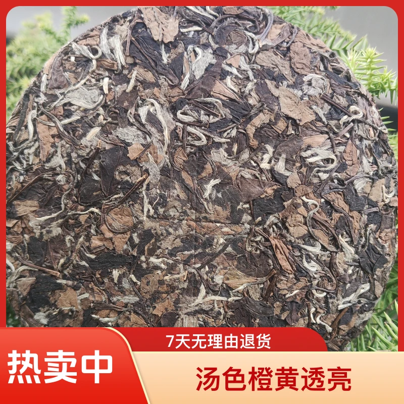 福鼎白茶茶农直邮2019年枣香高等级寿眉饼茶 枣香蜜香浓郁350g
