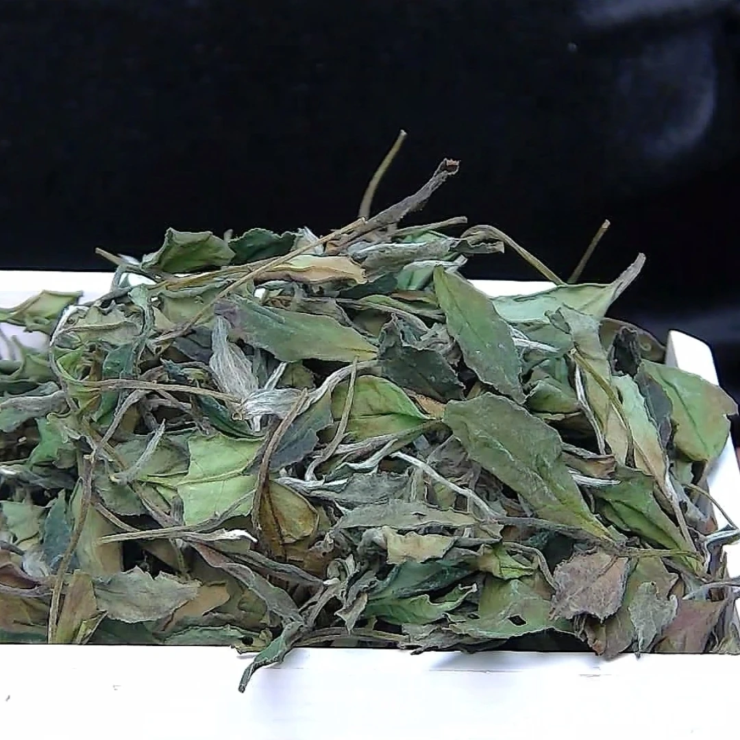 2024年福鼎白茶寒露茶中晚期传统工艺阳光竹匾晾晒花果香甘蔗甜