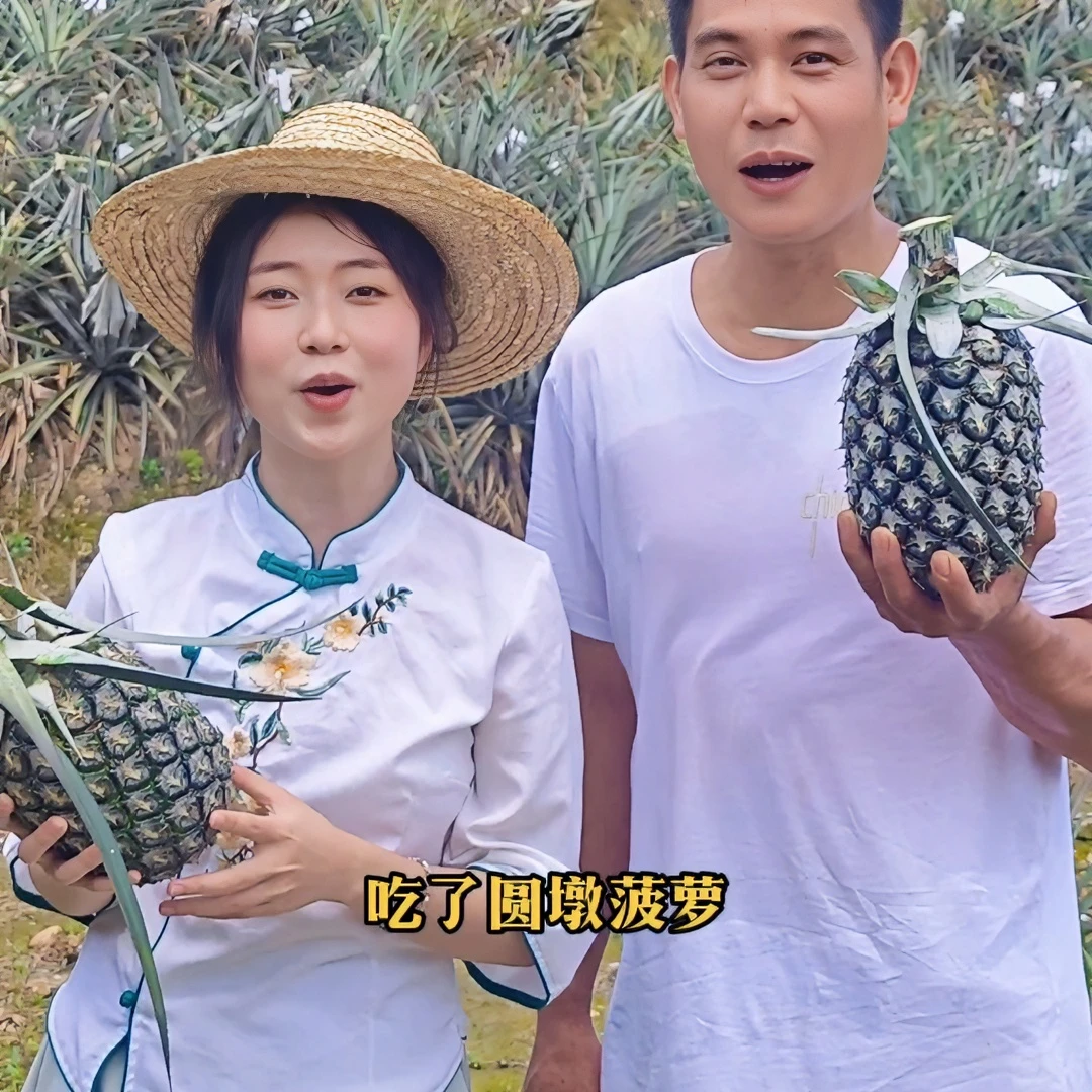 葵豐盛惠来圆墩高山甜菠萝树熟纯甜多汁新鲜水果产地顺丰包邮直发