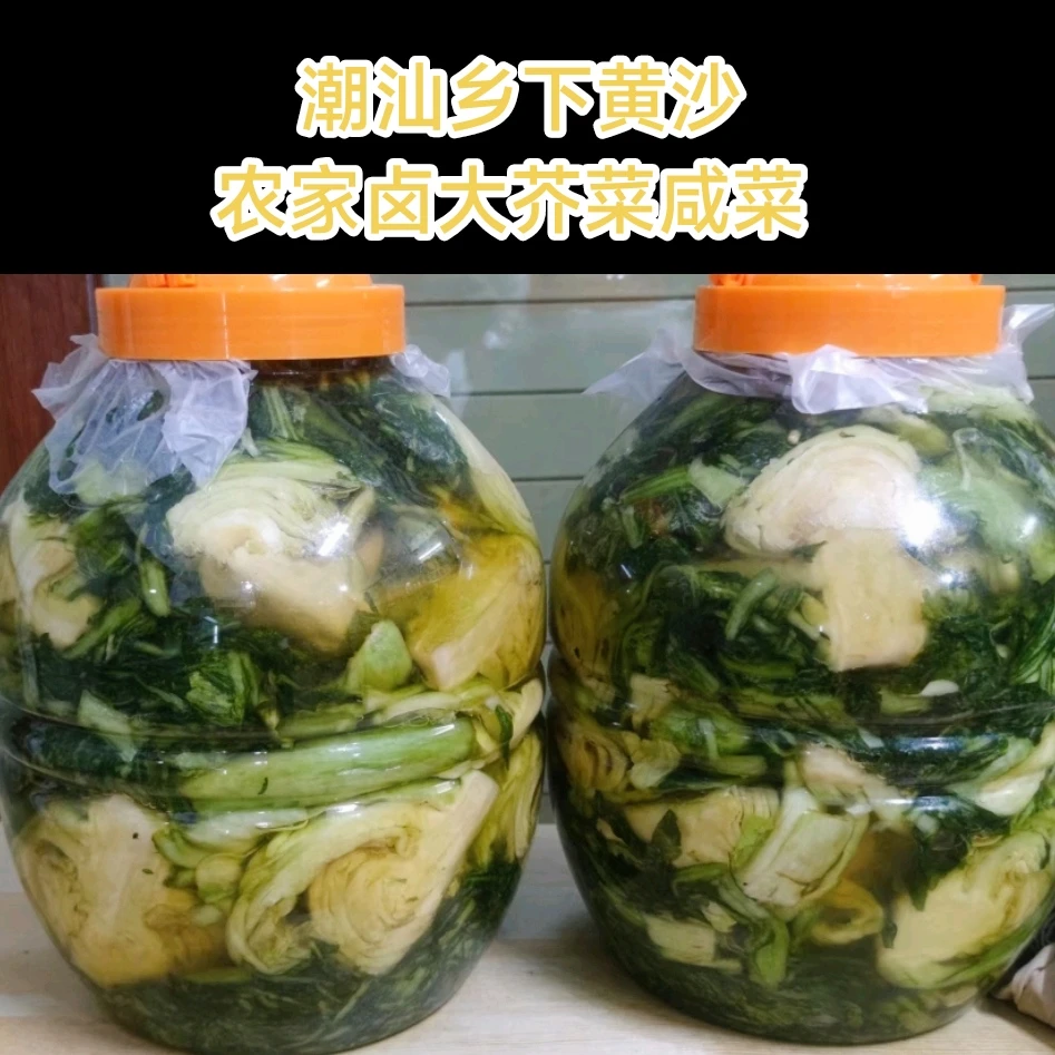 潮汕农家新鲜大芥菜正宗老客家自制卤黄沙水咸菜芥菜1桶土老鹰茶