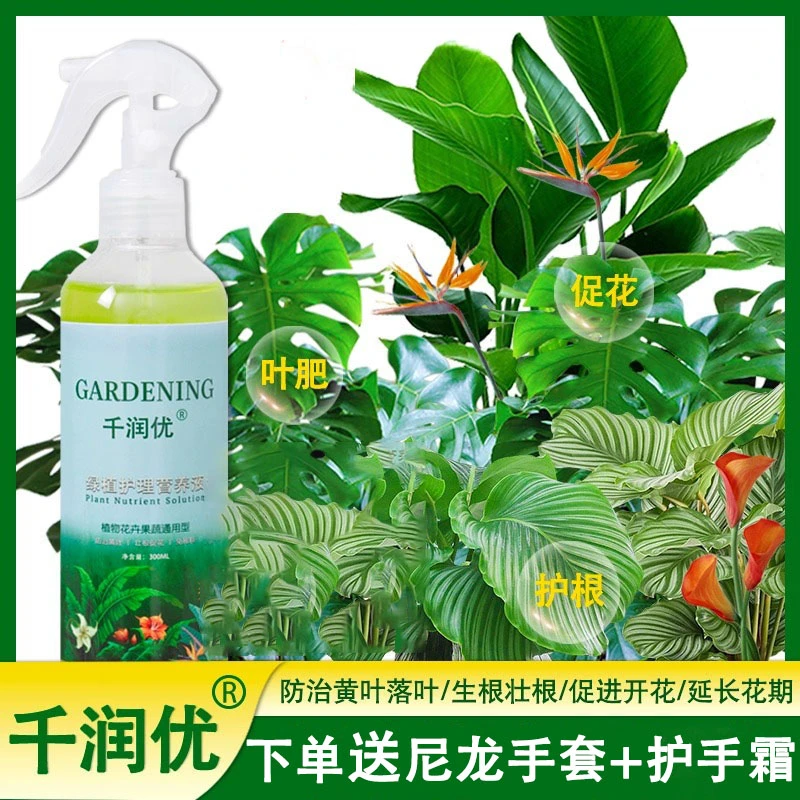 千润优营养液官方通用型快速补充营养液专治黄叶落叶促花植物花卉