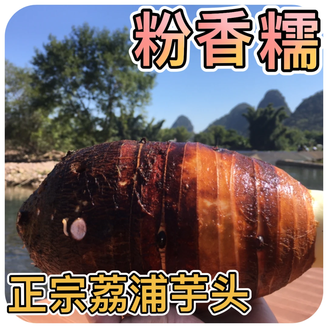 正宗广西荔浦大芋头新鲜现挖槟榔芋紫藤芋粉香糯3/5/9斤包邮品质