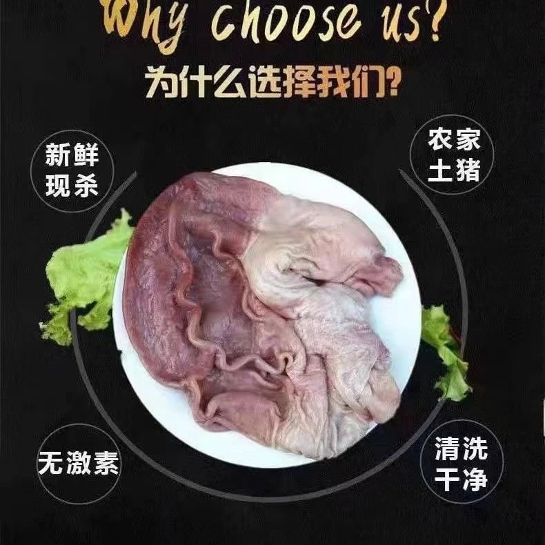 猪肚新鲜现杀整个猪肚无注水猪胃散养土猪猪肚子养胃营养滋补冷链