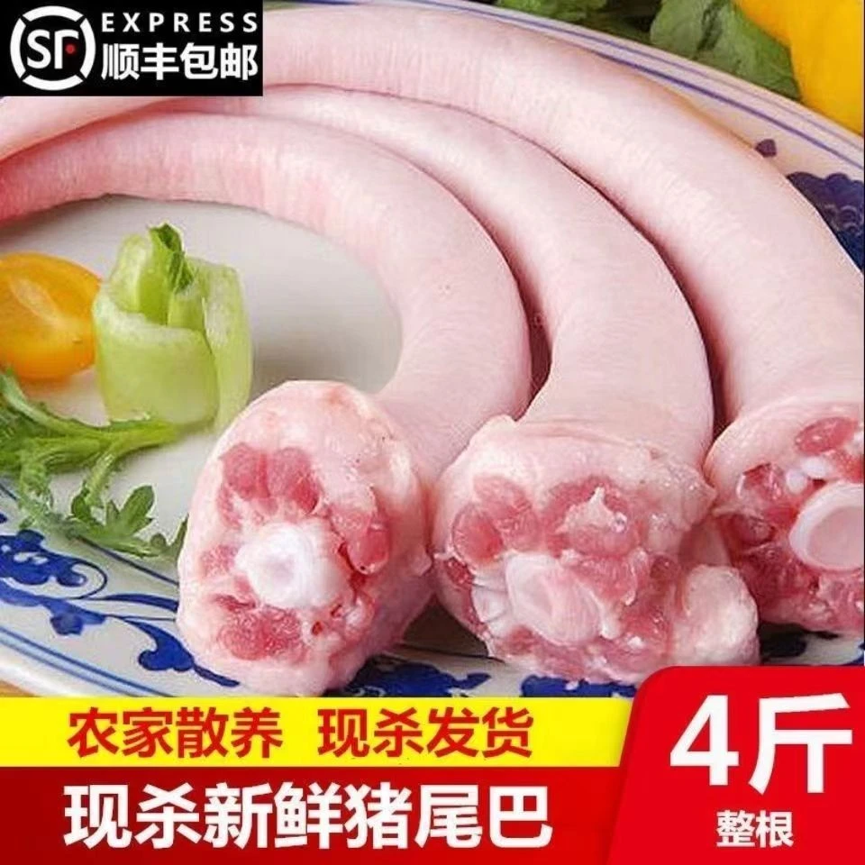 新鲜猪尾巴长尾巴短尾巴整根农家散养土猪带皮尾巴现杀中尾巴精修