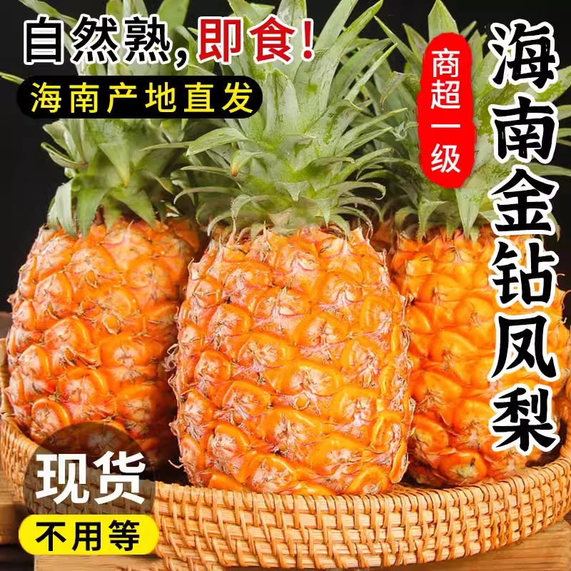 海南正宗芒果凤梨现摘现发非手撕金钻凤梨新鲜包邮菠萝水果包邮