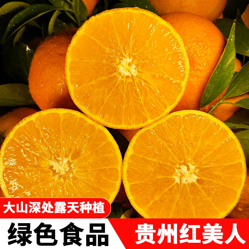 【贵州红美人】5斤净重乌江缘果冻橙试吃装手剥橙甜橙柑橘