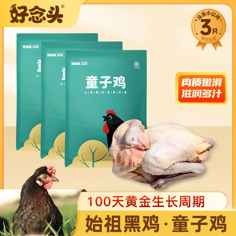好念头始祖黑鸡童子鸡3只 小公鸡正宗土鸡现杀现发 肉制鲜嫩