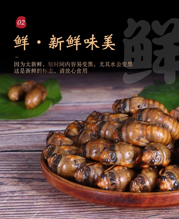 1200只纯野生山东知了猴顺丰包邮