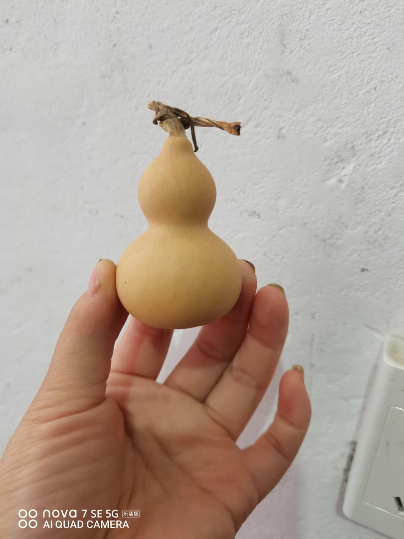 精品葫芦直播间专拍品