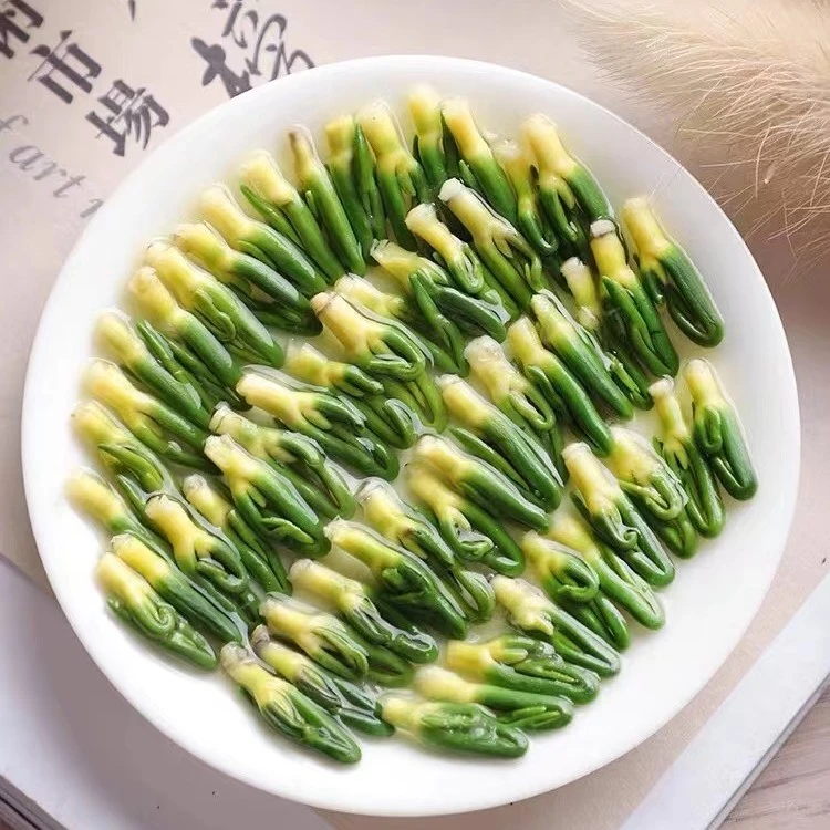 当季新茶 特级莲子心  250克 正品莲子心