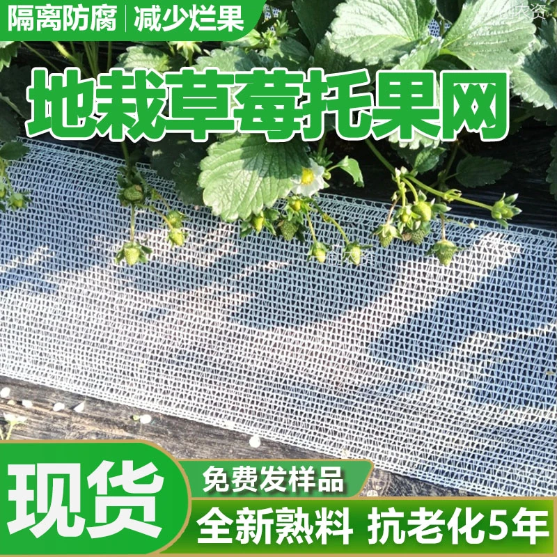 地栽草莓托果网  草莓地栽托果网隔离网拖果网垫网托
