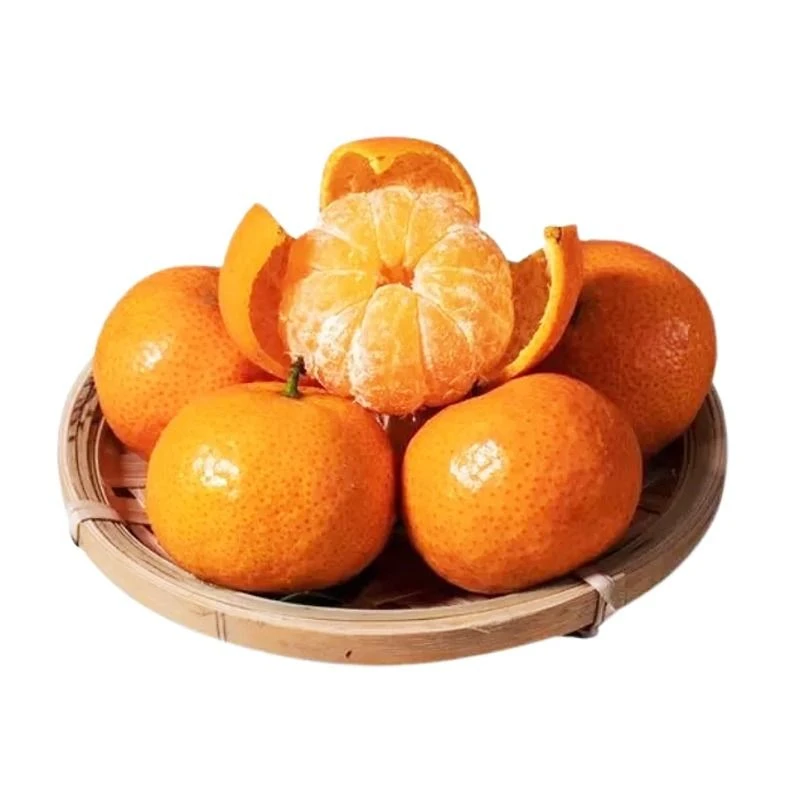 金秋砂糖橘 500-550g/份