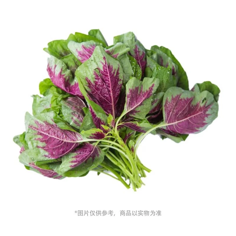 红汉菜 约500-530g/份