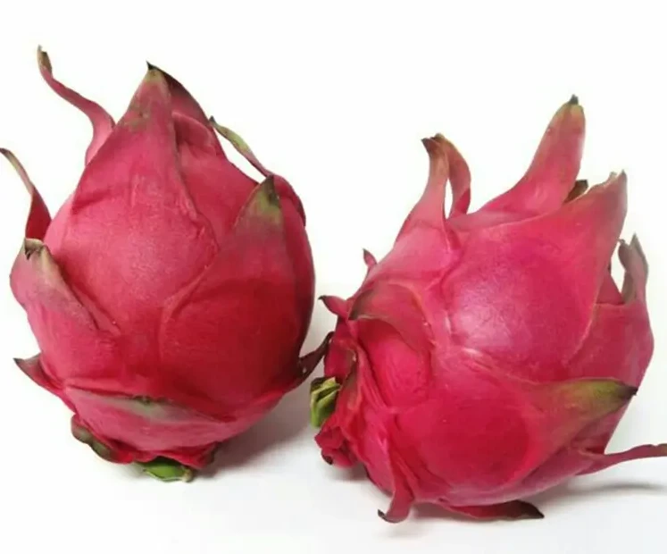 红肉火龙果（花果） 约750-800g/份