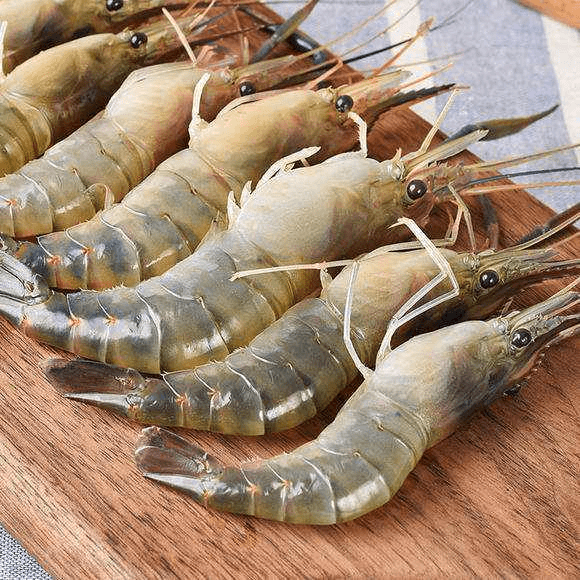 活罗氏虾 500-550g/份