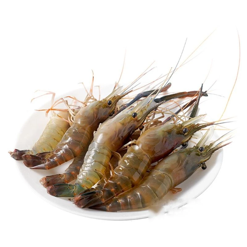 活罗氏虾 500-550g/份（打氧虾，不能确保到手每只都是活的）