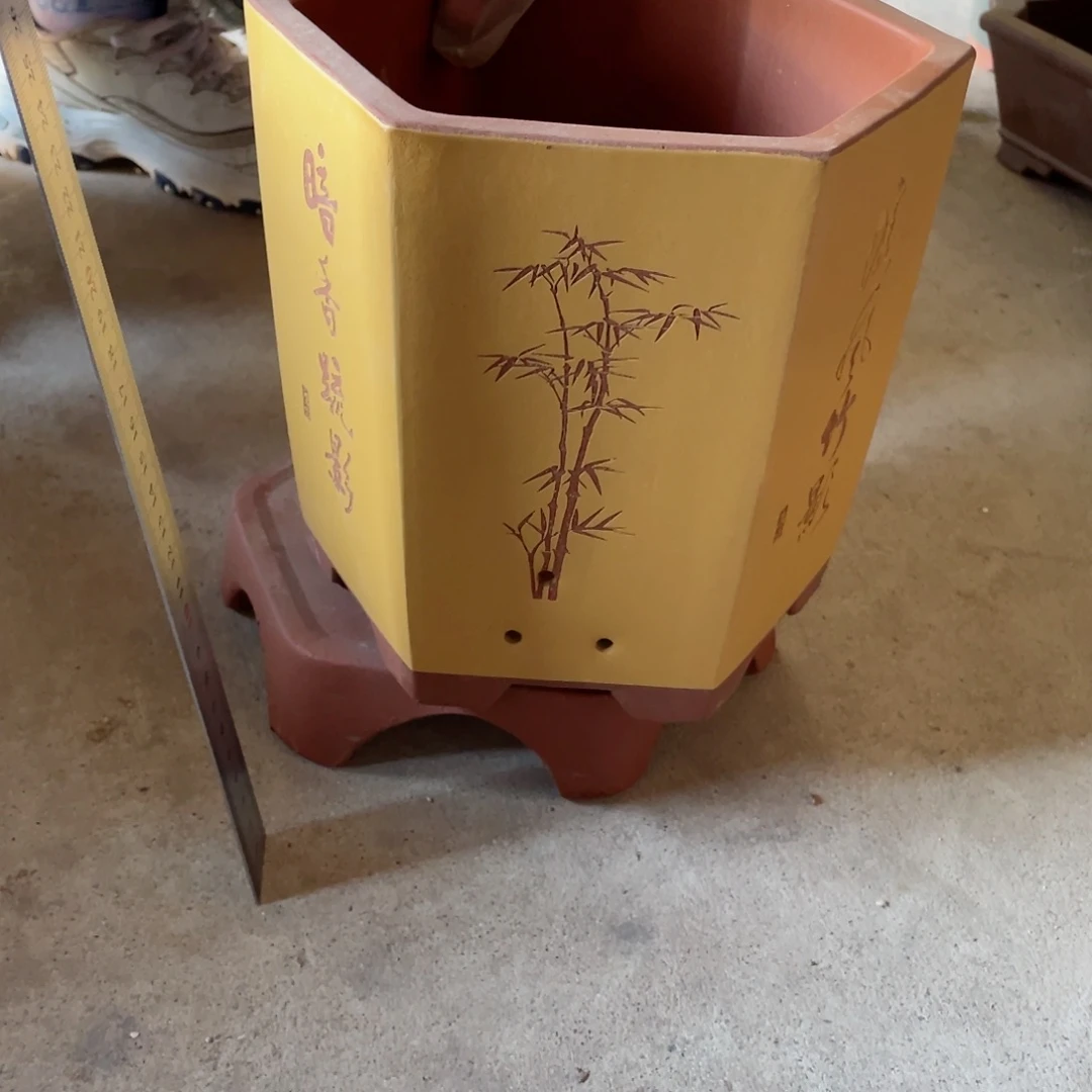 紫砂20CM（含）-50CM（不含）