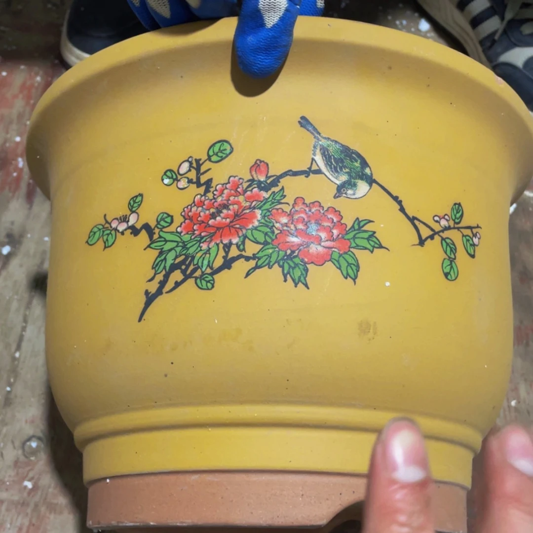 【闪购商品】紫砂花盆