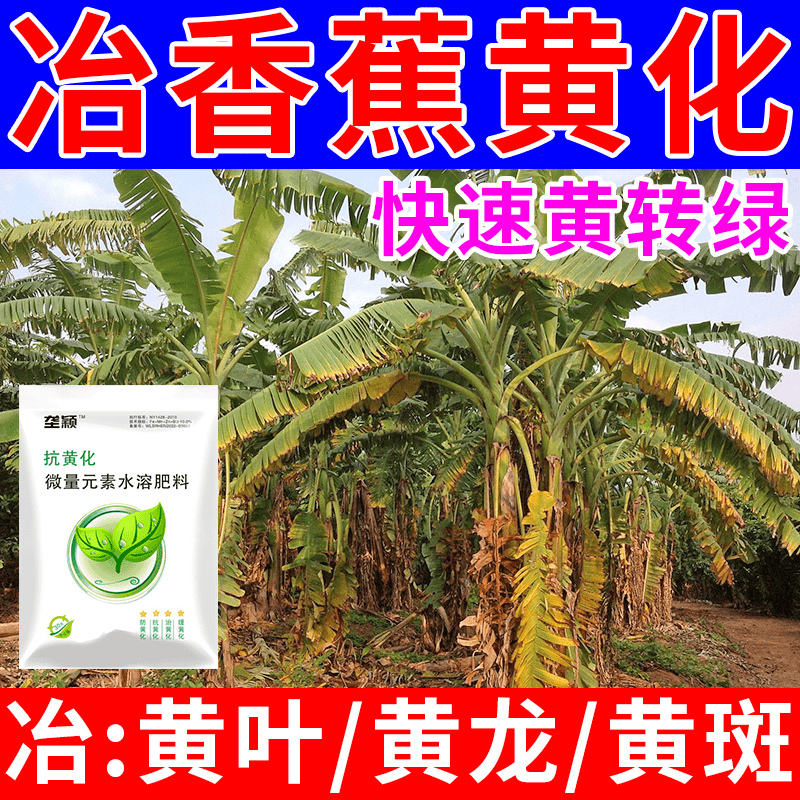香蕉黄化病专用黄叶死苗叶面肥增效快速保护果树家用抗黄化水溶肥