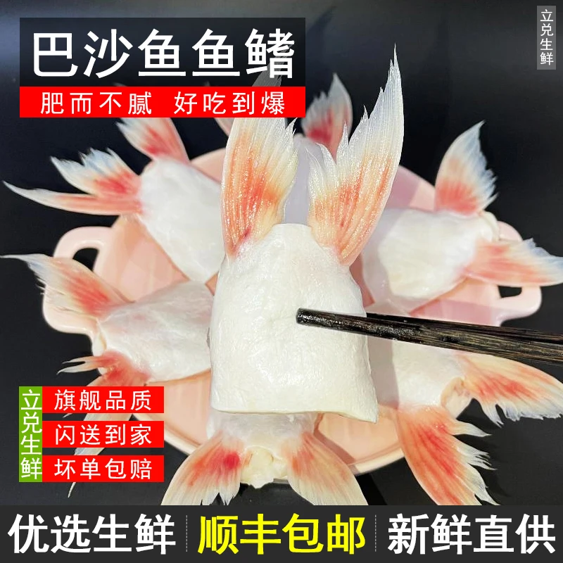 立兑冷冻巴沙鱼鳍鱼划水鱼油海鲜鱼翅鱼下巴生鲜鲜冻鱼肥油商用