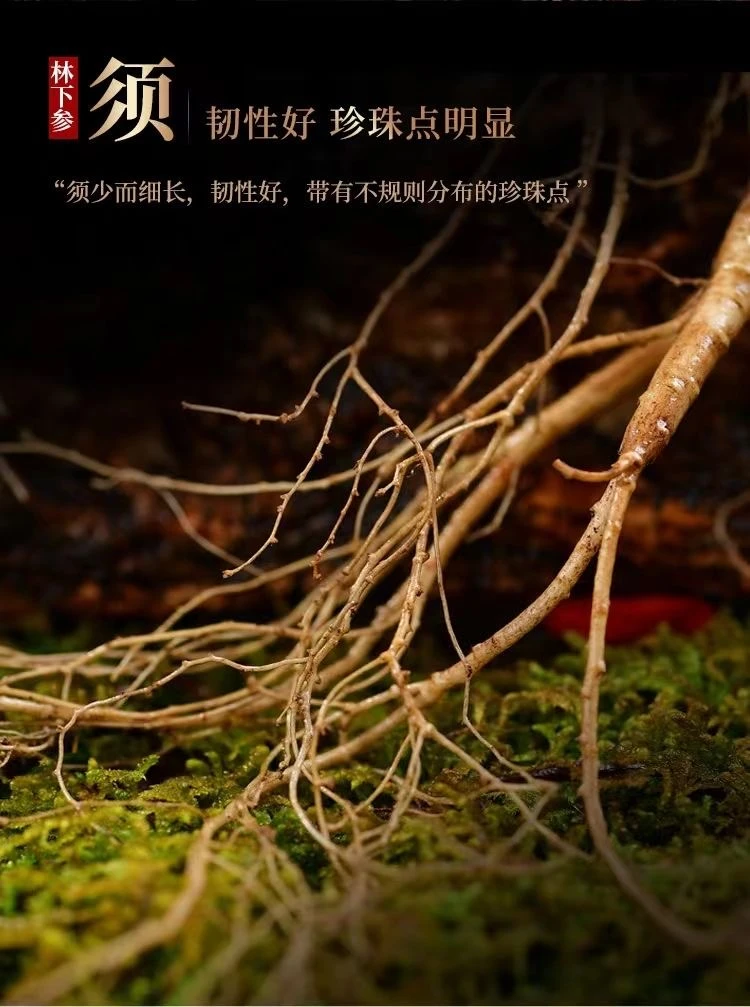 长白山人参林下小吃货50克一件