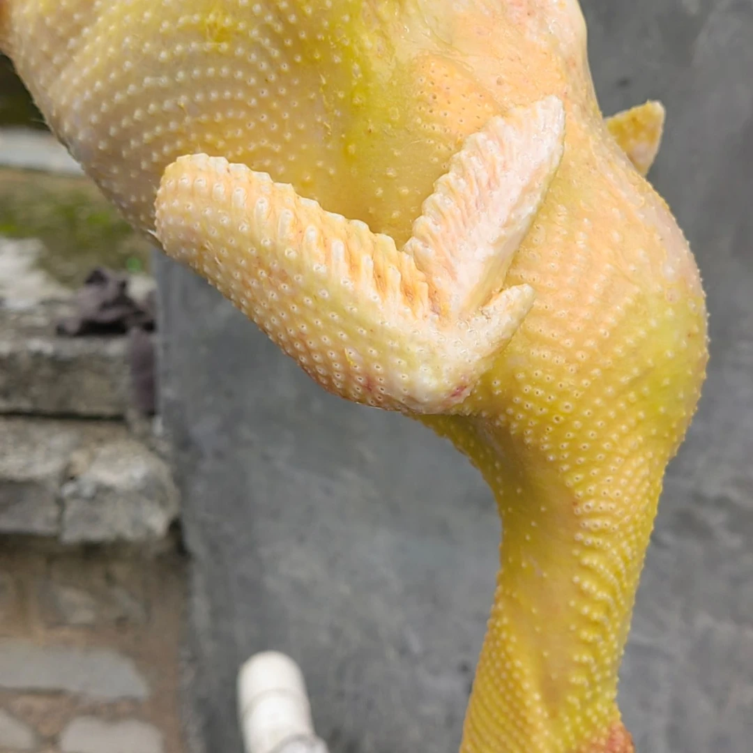 【整鸡】2只古典阉鸡生态散养
