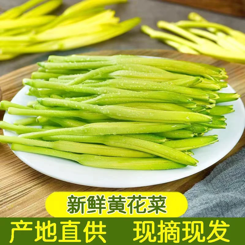 新鲜黄花菜1/2斤现摘现发野菜金针菜农家野菜时令蔬菜凉拌土特产