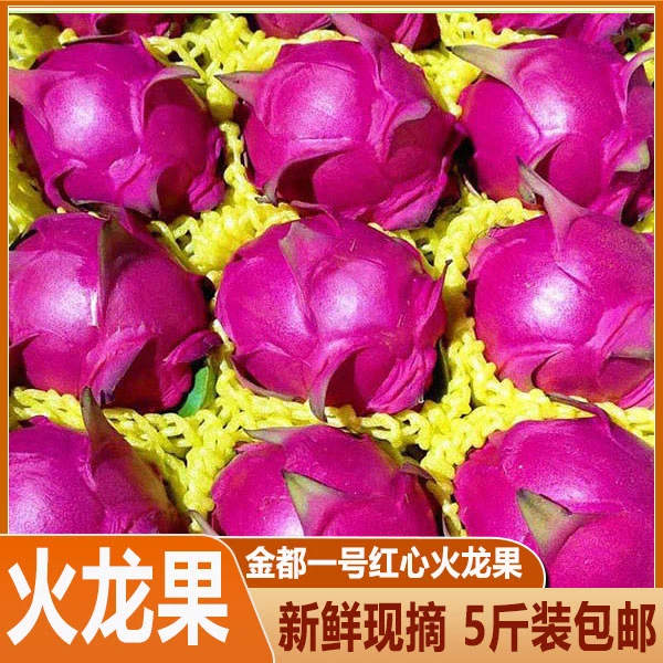 广西金都一号红龙果红心整箱新鲜5斤大果红肉当季水果现摘红肉蜜