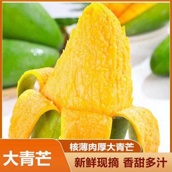 【现摘现发】广西金煌芒当季青皮金煌芒大青芒超大芒果