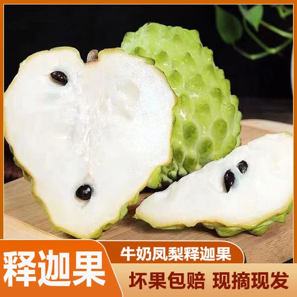 正宗广西牛奶凤梨释迦果精选大果新鲜现摘当季孕妇水果整箱佛头果