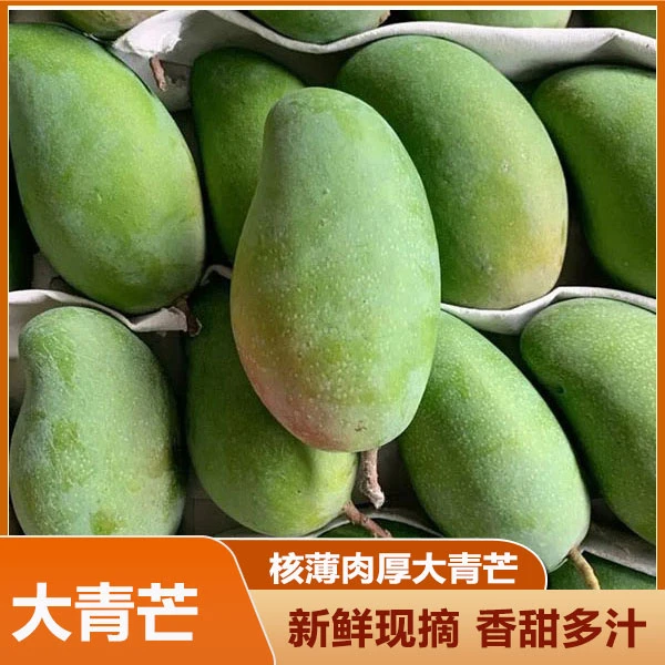 广西大青芒水果新鲜当季整箱特大芒果青皮芒整箱水仙芒